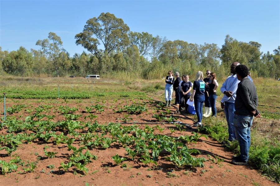 IOSAR Launch Meeting and Training Sessions in South Africa