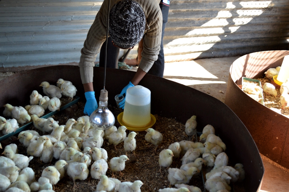 farmer sample training